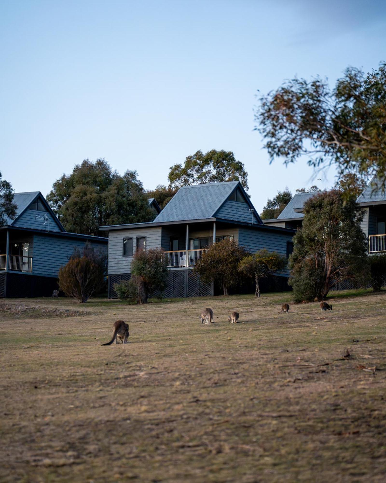 Adventist Alpine Village Jindabyne Esterno foto